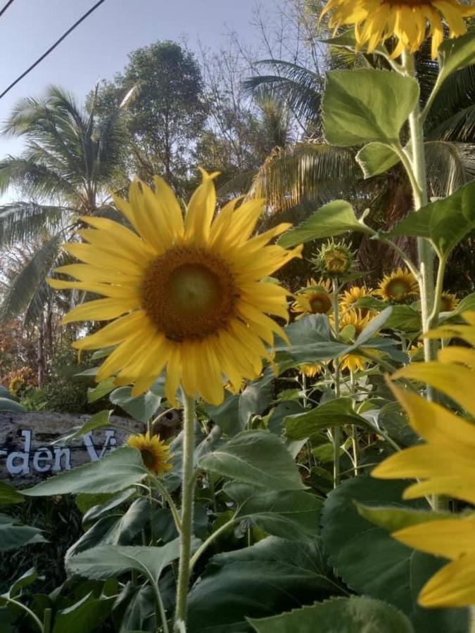 Phayam Garden View Hotel เกาะพยาม ภายนอก รูปภาพ