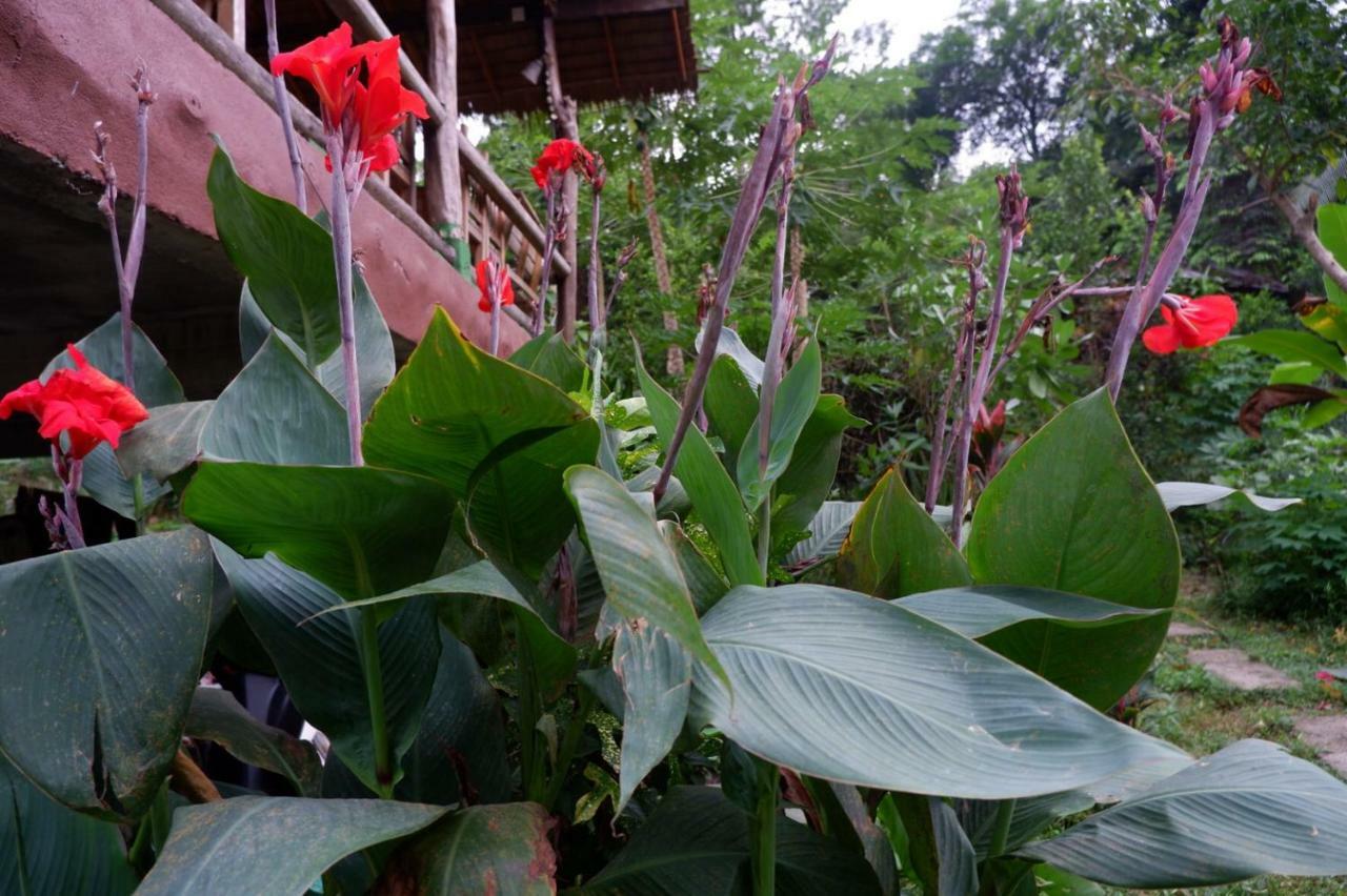 Phayam Garden View Hotel เกาะพยาม ภายนอก รูปภาพ